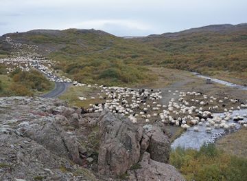 iceland/langjökull-glacier/attraction/tungufellsdalur