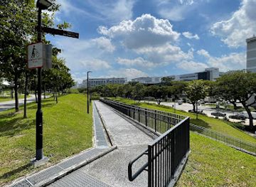 singapore/ang-mo-kio/attraction/ang-mo-kio-linear-park