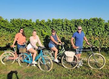 canada/niagara-falls/attraction/niagara-wine-tours-international