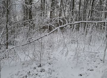 sweden/jonkoping/attraction/skams-hal-naturreservat