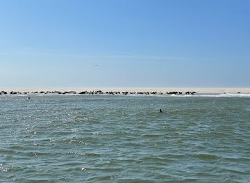 netherlands/wadden-islands/attraction/waddenexplorer
