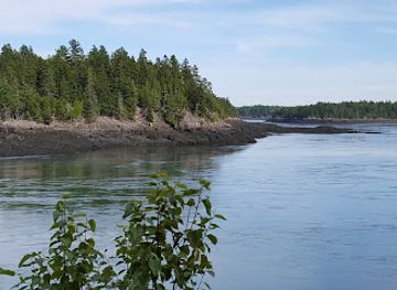 maine/downeast/attraction/reversing-falls-park