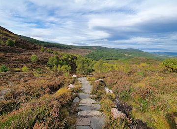 united-kingdom/cairngorms-national-park/attraction/craigellachie-national-nature-reserve-entrance