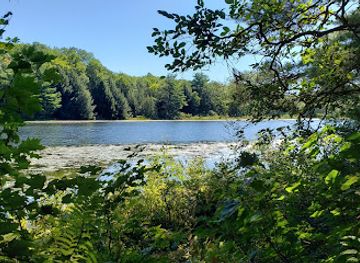 massachusetts/berkshires/attraction/sandisfield-state-forest