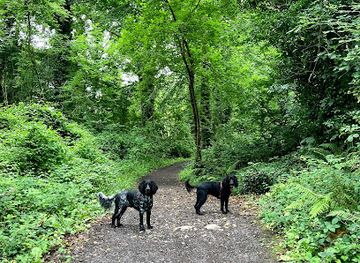 ireland/ennis/attraction/ballybeg-woods