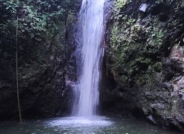 colombia/coffee-axis/attraction/cascada-salto-del-hippie