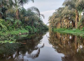 benin/atlantique/attraction/riviere-noire-adjarra