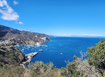 california/santa-catalina-island/attraction/3-palms-scenic-overlook