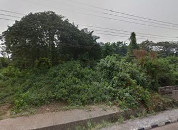 nigeria/ogbunike-caves/attraction/unizik-forest-and-wildlife-conservation-area-2