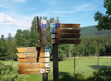 germany/bavarian-forest-national-park/attraction/hirschgehege-scheuereck