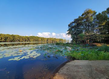 louisiana/caddo-lake-state-park/attraction/caddo-lake-national-wildlife-refuge