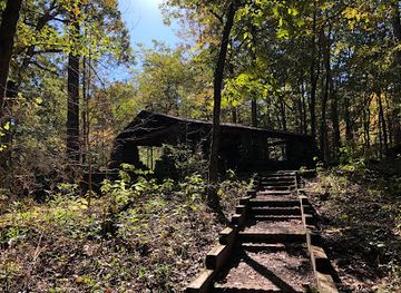 texas/piney-woods/attraction/caddo-lake-state-park