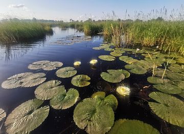 botswana/north-west-district/attraction/ng-21