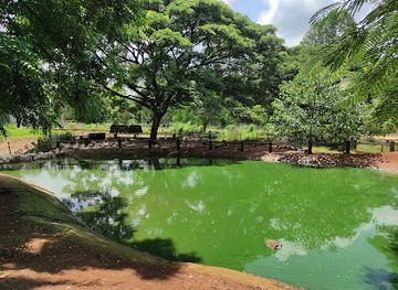 thailand/khao-yai-national-park/attraction/farm-mo-po