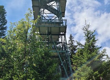 austria/muhlviertel/attraction/moldaublick