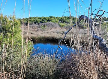 albania/has/attraction/seman-beach