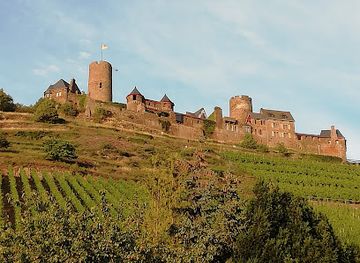 germany/moselle/attraction/thurant-castle