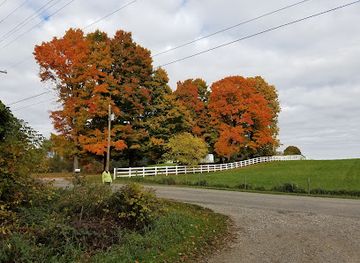 indiana/pokagon-state-park/attraction/mcclue-nature-preserve