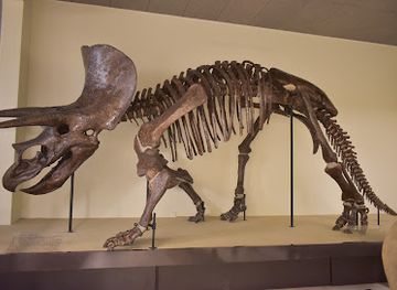 greece/attica/attraction/goulandris-natural-history-museum