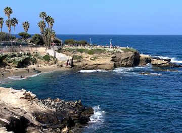 california/san-diego/la-jolla/attraction/la-jolla-cove