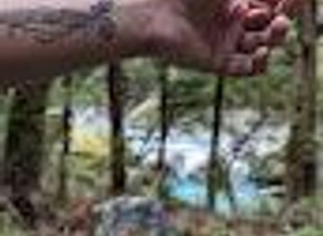 new-zealand/queenstown/attraction/black-leaf-tattoo