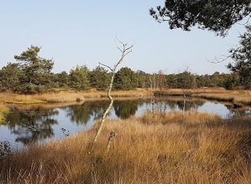 netherlands/eindhoven/attraction/kampina