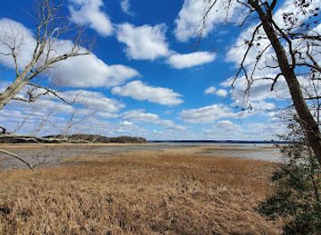 virginia/northern-virginia/attraction/elizabeth-hartwell-mason-neck-national-wildlife-refuge