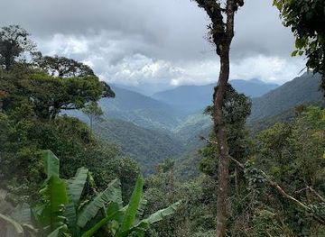 malaysia/cameron-highlands/attraction/jungle-trail-1-gunung-brinchang