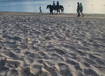 mauritius/flic-en-flac-beach/attraction/plage