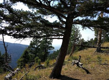 montana/gallatin-national-forest/attraction/leverich-canyon-mountain-trail-head