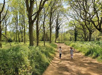 united-kingdom/oxford/attraction/shotover-country-park