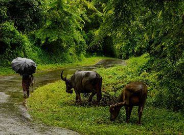 maldives/huvadhoo-atoll/attraction/chimmy-koren-island