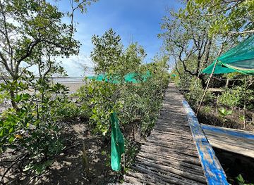 cambodia/kep/attraction/mangrove-protected-forest