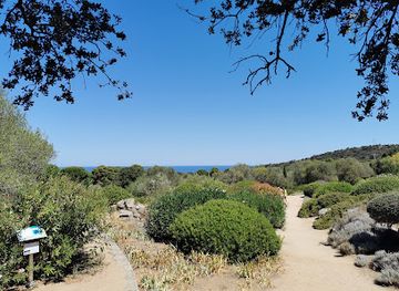 france/corsica/attraction/parc-of-saleccia