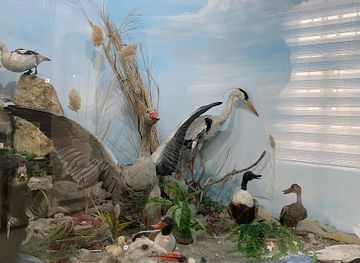 uzbekistan/bukhara/attraction/muzey-prirody-bukhary-i-uzbekistana