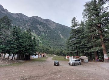 pakistan/swat/attraction/ushu-forest