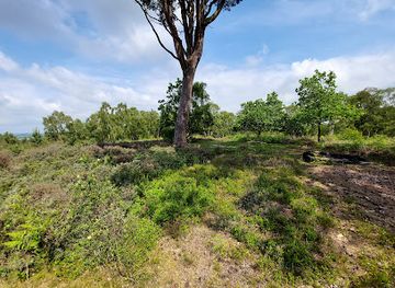 united-kingdom/staffordshire/attraction/cannock-chase-country-park