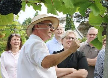 denmark/slagelse/attraction/vesterhave-vingaard