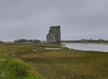 ireland/county-kerry/attraction/carrigafoyle-castle