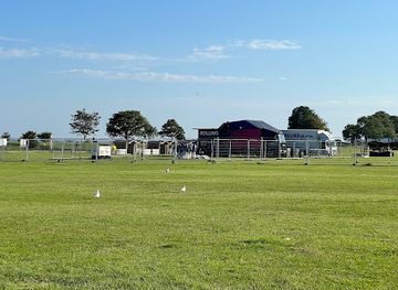 united-kingdom/southend-on-sea/attraction/east-beach-events