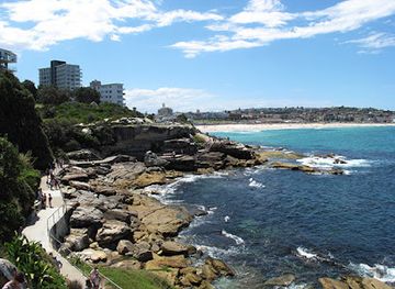 australia/sydney/bondi-beach/attraction/bondi-beach-aboriginal-rock-art-tours