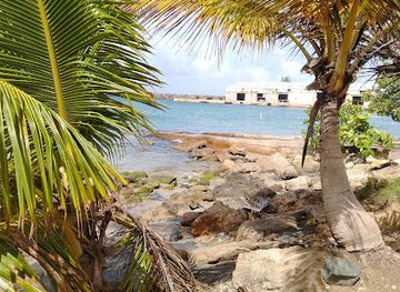 puerto-rico/arecibo/attraction/arecibo-pier