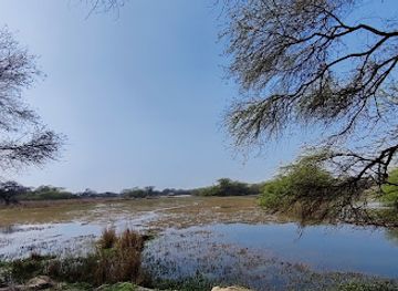 india/haryana/attraction/sultanpur-national-park