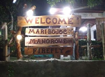 philippines/central-visayas/attraction/maribojoc-mangrove-firefly