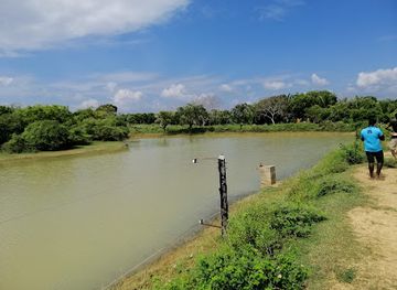 sri-lanka/bundala-national-park/attraction/uraniya-maadel-pala