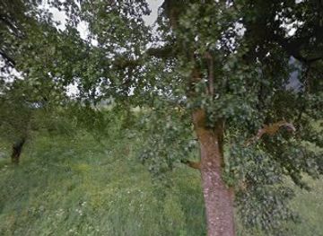 slovenia/bohinj/attraction/way-to-nova-bela