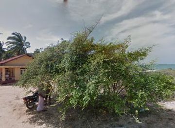 sri-lanka/kalpitiya/attraction/kalpitiya-kite-surfing-haven