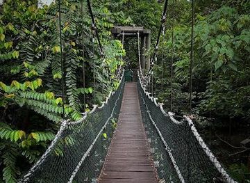 malaysia/kuala-lumpur/attraction/kl-forest-eco-park
