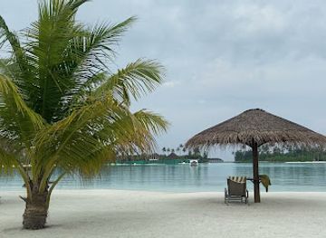 maldives/guraidhoo-island/attraction/letras-sun-siyam-olhuveli