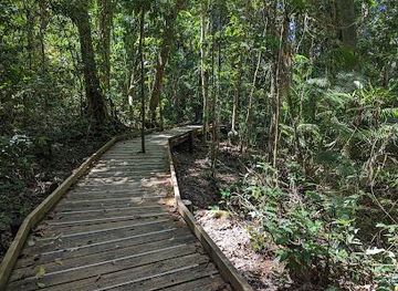 australia/port-douglas/attraction/jindalba-boardwalk
